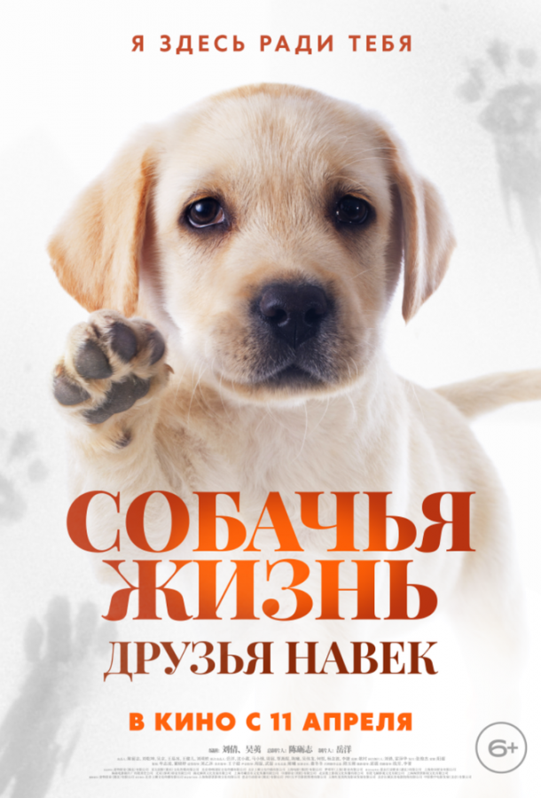 Фильм Собачья жизнь: Друзья навек (2023) смотреть онлайн